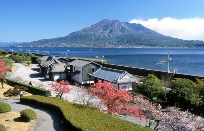 鹿児島市お花見21 鹿児島市 情緒あふれる桜景色を満喫 お花見おすすめ人気スポット9選 一休 Comレストラン 鹿児島市お花見21 鹿児島市 情緒あふれる桜景色を満喫 お花見おすすめ人気スポット9選 一休 Comレストラン