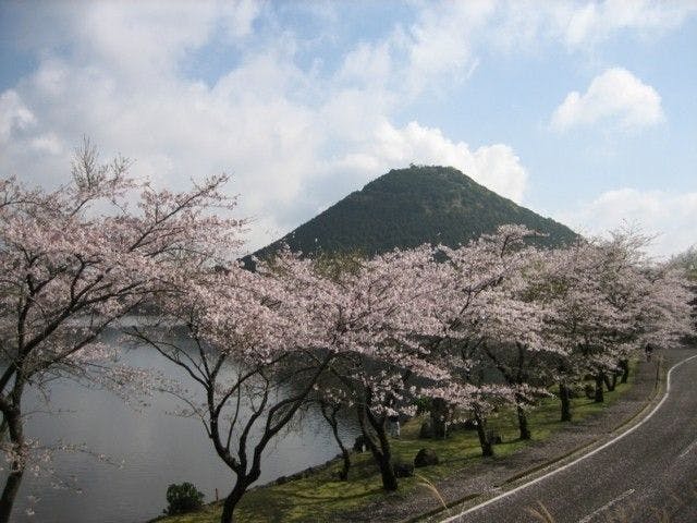 薩摩川内市お花見21 薩摩川内市 情緒あふれる桜景色を満喫 お花見おすすめ人気スポット9選 一休 Comレストラン
