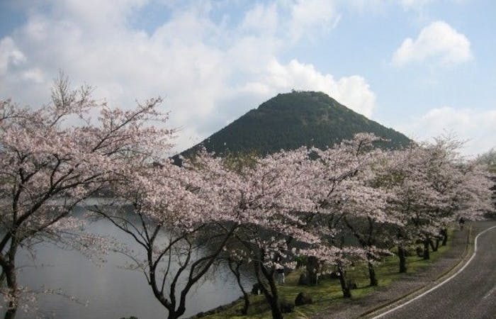 薩摩川内市お花見21 薩摩川内市 情緒あふれる桜景色を満喫 お花見おすすめ人気スポット9選 一休 Comレストラン 薩摩川内市お花見21 薩摩川内市 情緒あふれる桜景色を満喫 お花見おすすめ人気スポット9選 一休 Comレストラン