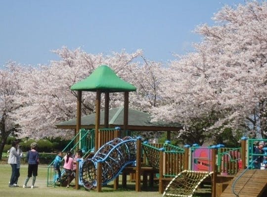丸岡公園 鹿児島 霧島市 人気お花見スポット 一休 Comレストラン 丸岡公園 鹿児島 霧島市 人気お花見スポット 一休 Comレストラン