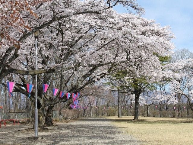 那須塩原お花見21 那須塩原 情緒あふれる桜景色を満喫 お花見おすすめ人気スポット7選 一休 Comレストラン