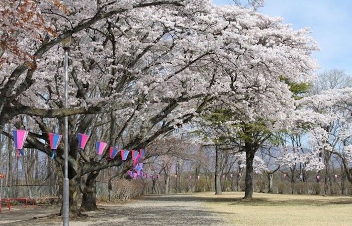 那須塩原お花見21 那須塩原 情緒あふれる桜景色を満喫 お花見おすすめ人気スポット7選 一休 Comレストラン 那須塩原お花見21 那須塩原 情緒あふれる桜景色を満喫 お花見おすすめ人気スポット7選 一休 Comレストラン