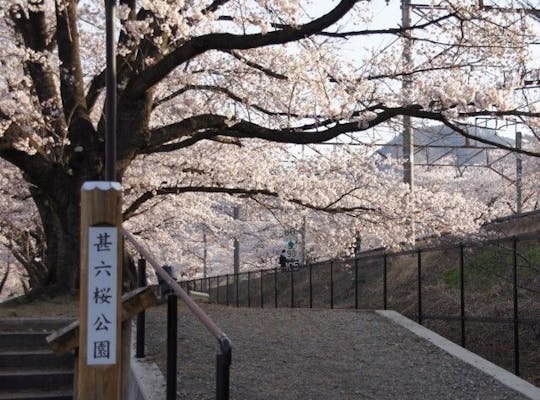 舞鶴城公園 山梨 甲府 人気お花見スポット 一休 Comレストラン 舞鶴城公園 山梨 甲府 人気お花見スポット 一休 Comレストラン