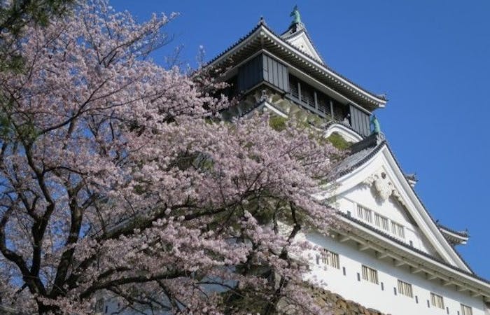 小倉お花見22 小倉 情緒あふれる桜景色を満喫 お花見おすすめ人気スポット12選 一休 Comレストラン 小倉お花見22 小倉 情緒あふれる桜景色を満喫 お花見おすすめ人気スポット12選 一休 Comレストラン
