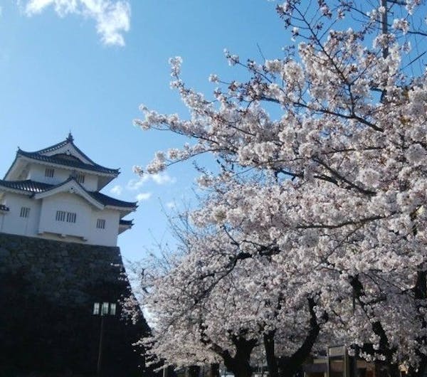 舞鶴城公園 山梨 甲府 人気お花見スポット 一休 Comレストラン 舞鶴城公園 山梨 甲府 人気お花見スポット 一休 Comレストラン