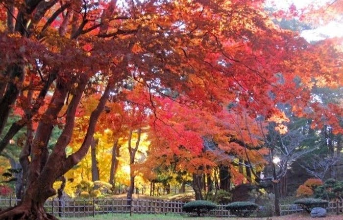 函館 大沼 松前紅葉21 函館 大沼 松前 秋の風物詩 紅葉を愉しむ 紅葉おすすめ人気スポット2選 一休 Comレストラン 函館 大沼 松前紅葉21 函館 大沼 松前 秋の風物詩 紅葉を愉しむ 紅葉おすすめ人気スポット2選 一休 Comレストラン