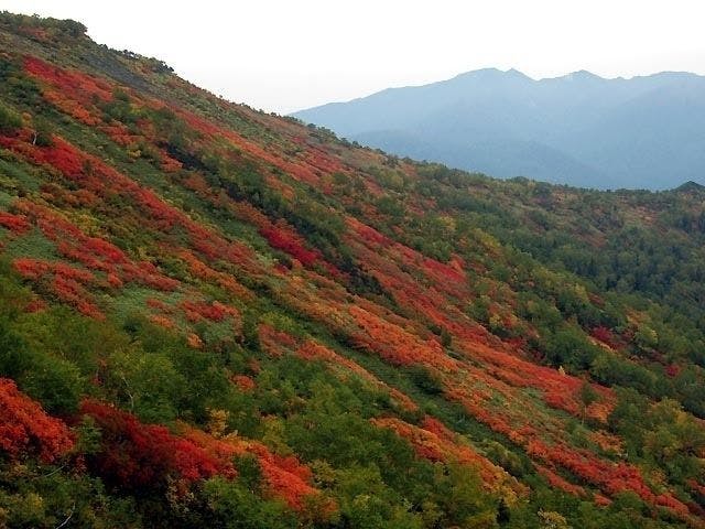 層雲峡紅葉21 層雲峡 秋の風物詩 紅葉を愉しむ 紅葉おすすめ人気スポット1選 一休 Comレストラン