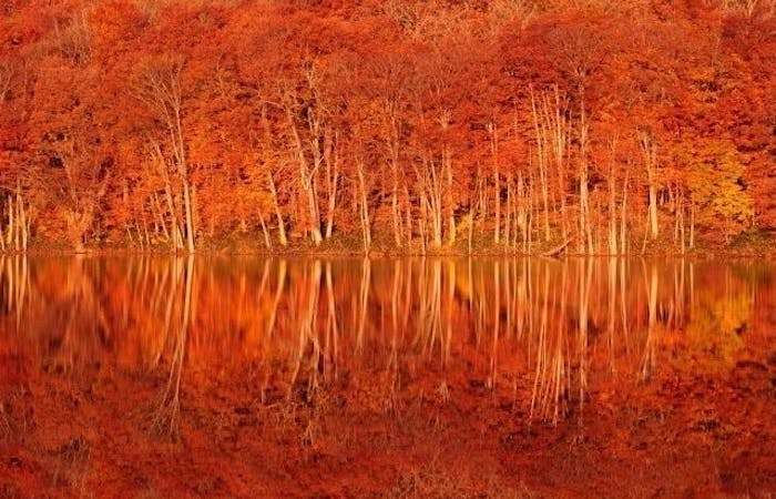 小国紅葉21 小国 秋の風物詩 紅葉を愉しむ 紅葉おすすめ人気スポット7選 一休 Comレストラン 小国紅葉21 小国 秋の風物詩 紅葉を愉しむ 紅葉おすすめ人気スポット7選 一休 Comレストラン