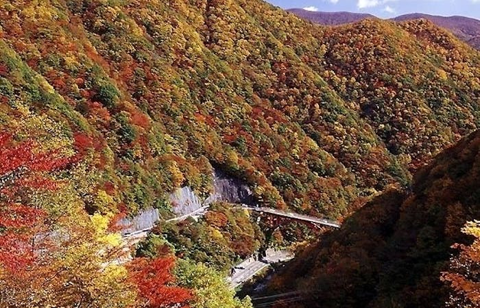 釜石紅葉21 釜石 秋の風物詩 紅葉を愉しむ 紅葉おすすめ人気スポット1選 一休 Comレストラン 釜石紅葉21 釜石 秋の風物詩 紅葉を愉しむ 紅葉おすすめ人気スポット1選 一休 Comレストラン