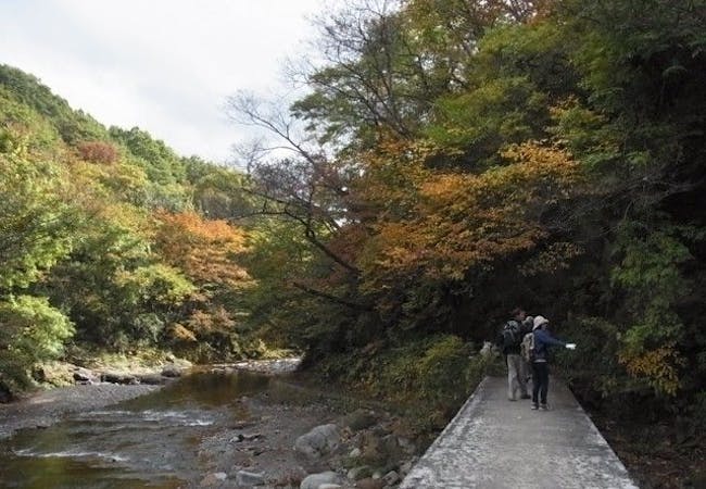 宮城紅葉22 宮城 秋の風物詩 紅葉を愉しむ 紅葉おすすめ人気スポット9選 一休 Comレストラン 宮城紅葉22 宮城 秋の風物詩 紅葉を愉しむ 紅葉おすすめ人気スポット9選 一休 Comレストラン