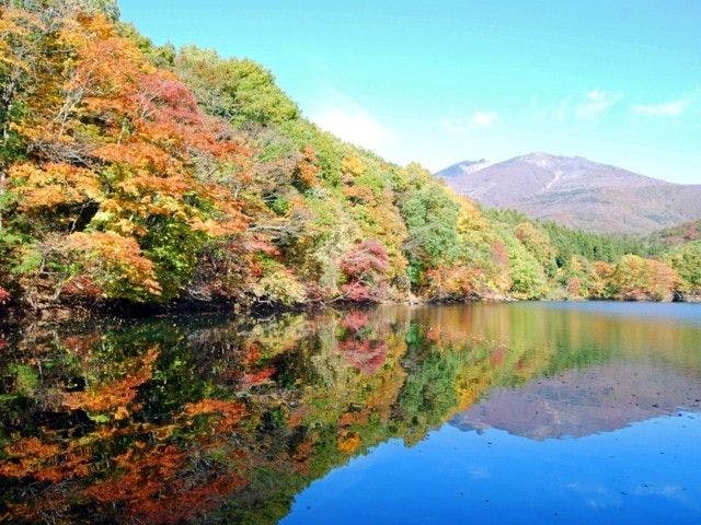 無地・新色登場! 50号「中禅寺湖」大きくて色鮮やかな風景画 | www