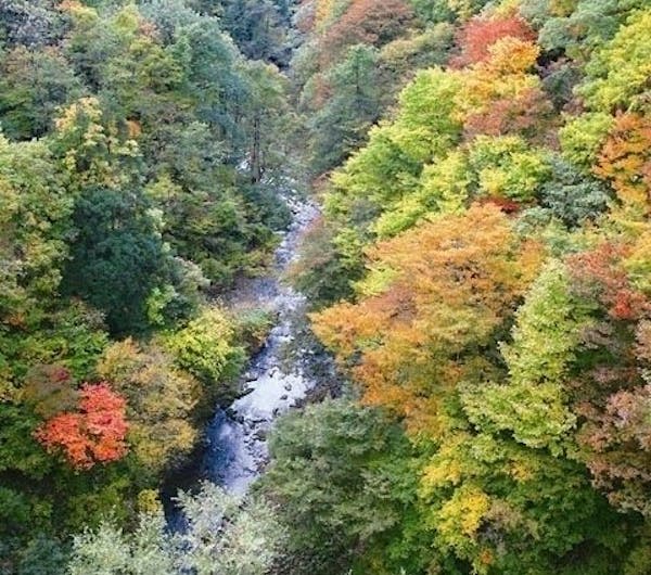 三途川渓谷 秋田 湯沢 人気紅葉スポット 一休 Comレストラン 三途川渓谷 秋田 湯沢 人気紅葉スポット 一休 Comレストラン