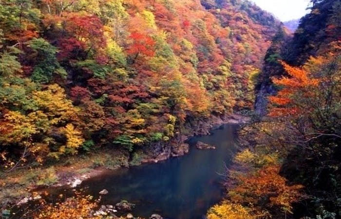 田沢湖紅葉21 田沢湖 秋の風物詩 紅葉を愉しむ 紅葉おすすめ人気スポット3選 一休 Comレストラン 田沢湖紅葉21 田沢湖 秋の風物詩 紅葉を愉しむ 紅葉おすすめ人気スポット3選 一休 Comレストラン