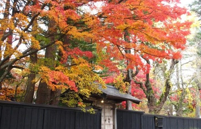 仙北 角館 大曲紅葉21 仙北 角館 大曲 秋の風物詩 紅葉を愉しむ 紅葉おすすめ人気スポット2選 一休 Comレストラン 仙北 角館 大曲紅葉21 仙北 角館 大曲 秋の風物詩 紅葉を愉しむ 紅葉おすすめ人気スポット2選 一休 Comレストラン