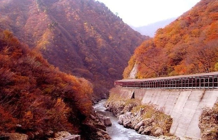 小国紅葉21 小国 秋の風物詩 紅葉を愉しむ 紅葉おすすめ人気スポット7選 一休 Comレストラン 小国紅葉21 小国 秋の風物詩 紅葉を愉しむ 紅葉おすすめ人気スポット7選 一休 Comレストラン