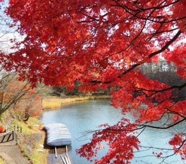 五色沼 福島 裏磐梯 磐梯高原 人気紅葉スポット 一休 Comレストラン 五色沼 福島 裏磐梯 磐梯高原 人気紅葉スポット 一休 Comレストラン