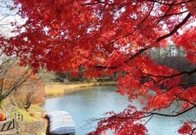 福島紅葉21 福島 秋の風物詩 紅葉を愉しむ 紅葉おすすめ人気スポット17選 一休 Comレストラン