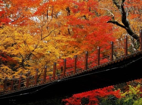 花園渓谷 茨城 北茨城 奥久慈 日立 人気紅葉スポット 一休 Comレストラン 花園渓谷 茨城 北茨城 奥久慈 日立 人気紅葉スポット 一休 Comレストラン