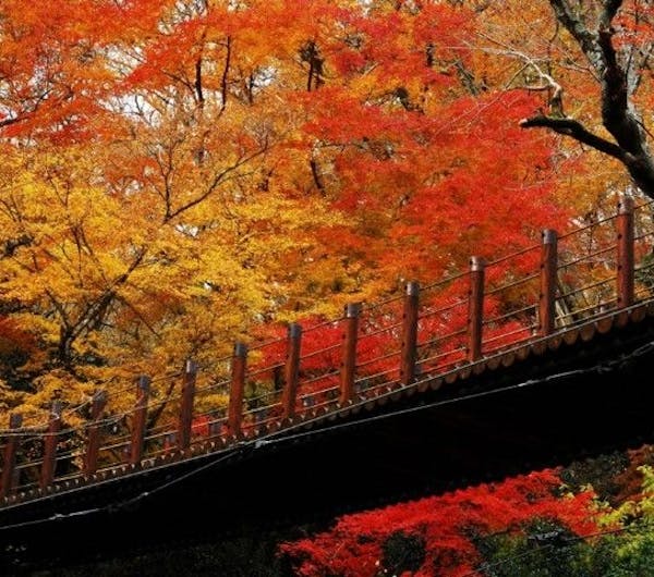 花貫渓谷 茨城 北茨城 奥久慈 日立 人気紅葉スポット 一休 Comレストラン 花貫渓谷 茨城 北茨城 奥久慈 日立 人気紅葉スポット 一休 Comレストラン