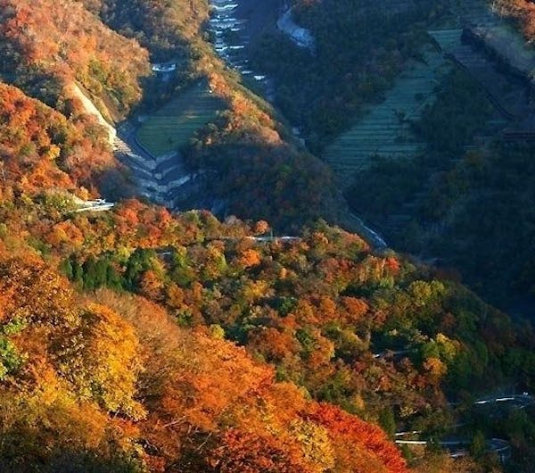 いろは坂 栃木 日光 人気紅葉スポット 一休 Comレストラン