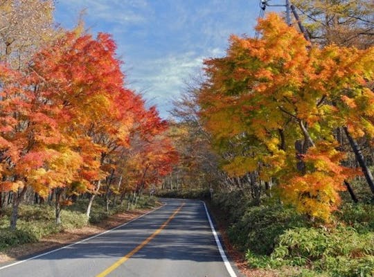 塩原渓谷歩道 栃木 那須塩原 人気紅葉スポット 一休 Comレストラン