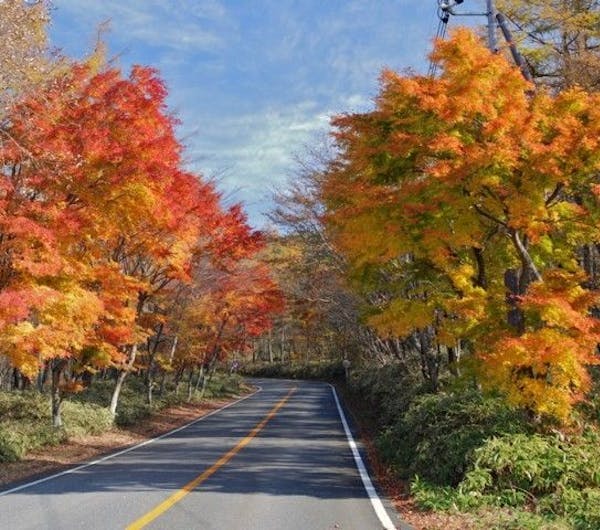 日塩もみじライン 栃木 日光 人気紅葉スポット 一休 Comレストラン 日塩もみじライン 栃木 日光 人気紅葉スポット 一休 Comレストラン