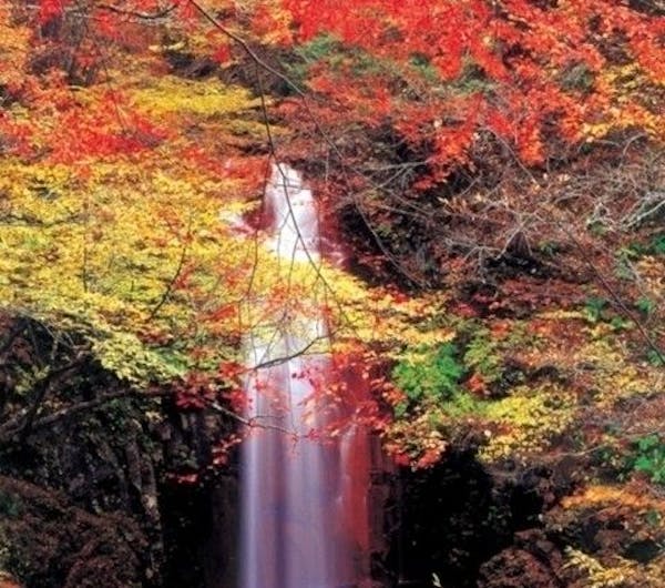 塩原渓谷歩道 栃木 那須塩原 人気紅葉スポット 一休 Comレストラン 塩原渓谷歩道 栃木 那須塩原 人気紅葉スポット 一休 Comレストラン