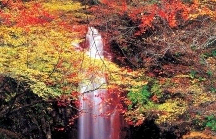 那須塩原紅葉21 那須塩原 秋の風物詩 紅葉を愉しむ 紅葉おすすめ人気スポット8選 一休 Comレストラン 那須塩原紅葉21 那須塩原 秋の風物詩 紅葉を愉しむ 紅葉おすすめ人気スポット8選 一休 Comレストラン
