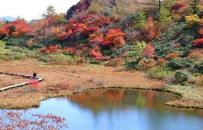 志賀高原紅葉 志賀高原 秋の風物詩 紅葉を愉しむ 紅葉おすすめ人気スポット5選 一休 Comレストラン