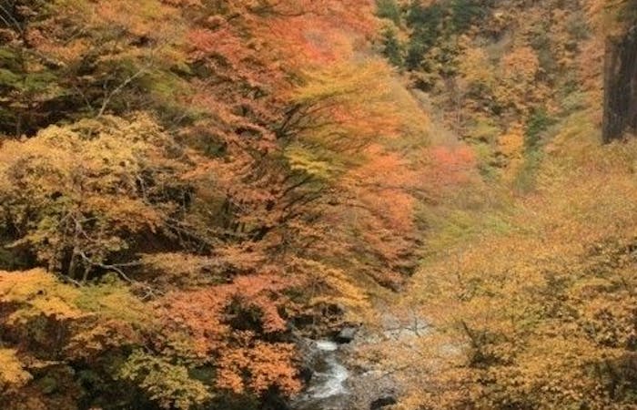 秩父紅葉21 秩父 秋の風物詩 紅葉を愉しむ 紅葉おすすめ人気スポット17選 一休 Comレストラン 秩父紅葉21 秩父 秋の風物詩 紅葉を愉しむ 紅葉おすすめ人気スポット17選 一休 Comレストラン