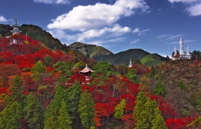 飯能紅葉22 飯能 秋の風物詩 紅葉を愉しむ 紅葉おすすめ人気スポット18選 一休 Comレストラン 飯能紅葉22 飯能 秋の風物詩 紅葉を愉しむ 紅葉おすすめ人気スポット18選 一休 Comレストラン