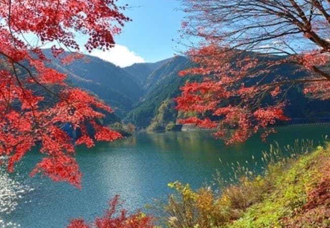 埼玉紅葉21 埼玉 秋の風物詩 紅葉を愉しむ 紅葉おすすめ人気スポット14選 一休 Comレストラン 埼玉紅葉21 埼玉 秋の風物詩 紅葉を愉しむ 紅葉おすすめ人気スポット14選 一休 Comレストラン