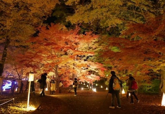 埼玉紅葉21 埼玉 秋の風物詩 紅葉を愉しむ 紅葉おすすめ人気スポット14選 一休 Comレストラン 埼玉紅葉21 埼玉 秋の風物詩 紅葉を愉しむ 紅葉おすすめ人気スポット14選 一休 Comレストラン