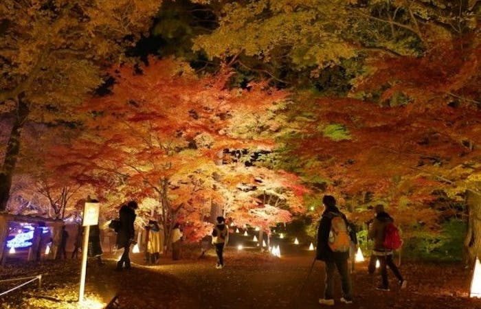 飯能紅葉21 飯能 秋の風物詩 紅葉を愉しむ 紅葉おすすめ人気スポット18選 一休 Comレストラン 飯能紅葉21 飯能 秋の風物詩 紅葉を愉しむ 紅葉おすすめ人気スポット18選 一休 Comレストラン