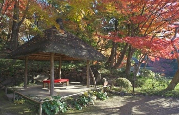 水道橋紅葉 水道橋 秋の風物詩 紅葉を愉しむ 紅葉おすすめ人気スポット6選 一休 Comレストラン