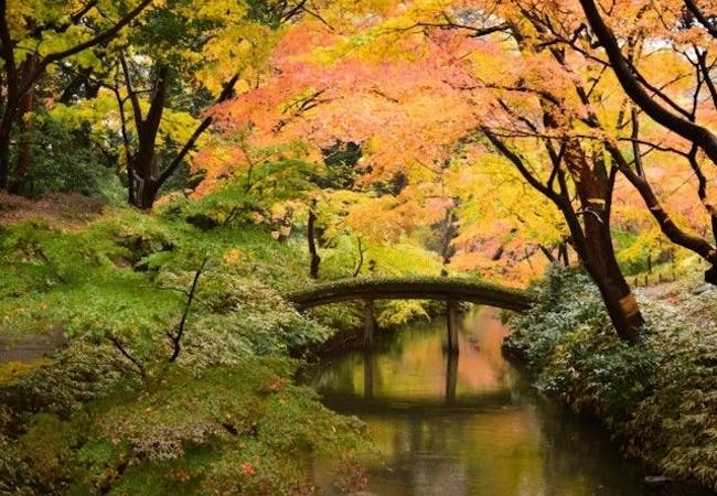 南関東紅葉22 南関東 秋の風物詩 紅葉を愉しむ 紅葉おすすめ人気スポット30選 一休 Comレストラン 南関東紅葉22 南関東 秋の風物詩 紅葉を愉しむ 紅葉おすすめ人気スポット30選 一休 Comレストラン