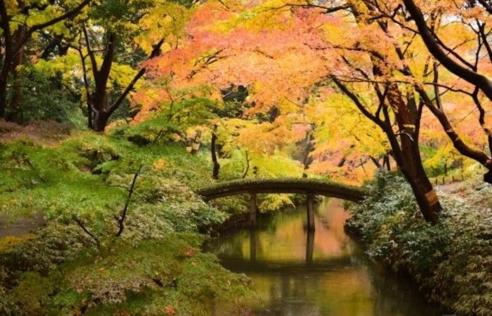 九段下 後楽園紅葉 九段下 後楽園 秋の風物詩 紅葉を愉しむ 紅葉おすすめ人気スポット6選 一休 Comレストラン
