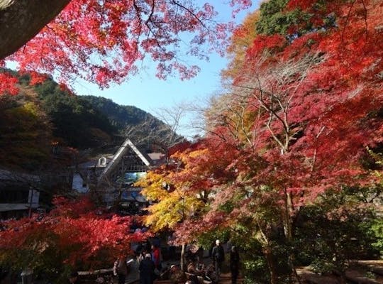 宮ヶ瀬ダム 神奈川 相模原市 人気紅葉スポット 一休 Comレストラン 宮ヶ瀬ダム 神奈川 相模原市 人気紅葉スポット 一休 Comレストラン