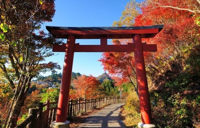 青梅紅葉21 青梅 秋の風物詩 紅葉を愉しむ 紅葉おすすめ人気スポット19選 一休 Comレストラン 青梅紅葉21 青梅 秋の風物詩 紅葉を愉しむ 紅葉おすすめ人気スポット19選 一休 Comレストラン