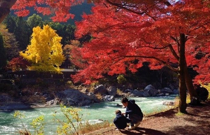 飯能紅葉22 飯能 秋の風物詩 紅葉を愉しむ 紅葉おすすめ人気スポット18選 一休 Comレストラン 飯能紅葉22 飯能 秋の風物詩 紅葉を愉しむ 紅葉おすすめ人気スポット18選 一休 Comレストラン