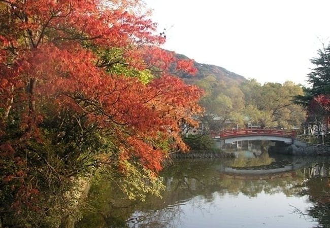 神奈川紅葉21 神奈川 秋の風物詩 紅葉を愉しむ 紅葉おすすめ人気スポット30選 一休 Comレストラン 神奈川紅葉21 神奈川 秋の風物詩 紅葉を愉しむ 紅葉おすすめ人気スポット30選 一休 Comレストラン