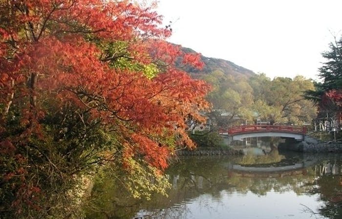 鎌倉紅葉21 鎌倉 秋の風物詩 紅葉を愉しむ 紅葉おすすめ人気スポット10選 一休 Comレストラン 鎌倉紅葉21 鎌倉 秋の風物詩 紅葉を愉しむ 紅葉おすすめ人気スポット10選 一休 Comレストラン
