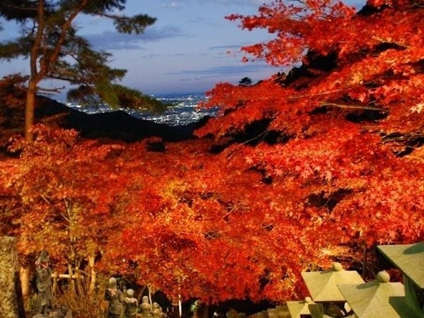 箱根紅葉21 箱根 秋の風物詩 紅葉を愉しむ 紅葉おすすめ人気スポット13選 一休 Comレストラン