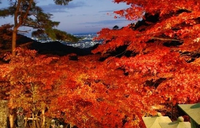 伊勢原市紅葉21 伊勢原市 秋の風物詩 紅葉を愉しむ 紅葉おすすめ人気スポット21選 一休 Comレストラン