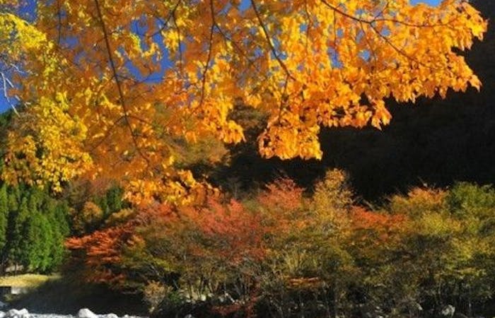 箱根紅葉22 箱根 秋の風物詩 紅葉を愉しむ 紅葉おすすめ人気スポット13選 一休 Comレストラン 箱根紅葉22 箱根 秋の風物詩 紅葉を愉しむ 紅葉おすすめ人気スポット13選 一休 Comレストラン