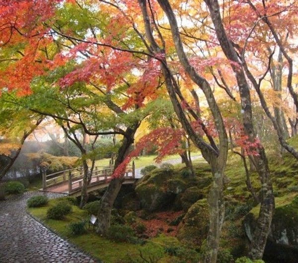 箱根美術館 神奈川 箱根 人気紅葉スポット 一休 Comレストラン