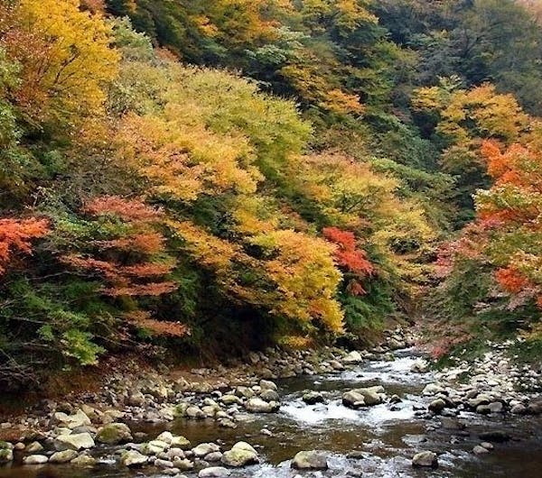 箱根湯本 神奈川 箱根 人気紅葉スポット 一休 Comレストラン 箱根湯本 神奈川 箱根 人気紅葉スポット 一休 Comレストラン