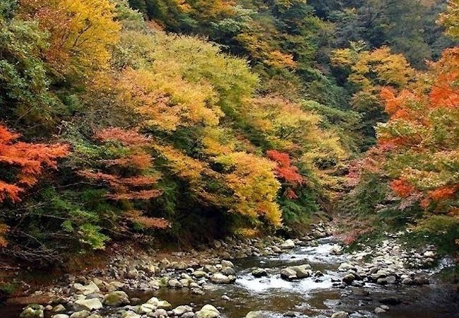 神奈川紅葉21 神奈川 秋の風物詩 紅葉を愉しむ 紅葉おすすめ人気スポット30選 一休 Comレストラン 神奈川紅葉21 神奈川 秋の風物詩 紅葉を愉しむ 紅葉おすすめ人気スポット30選 一休 Comレストラン