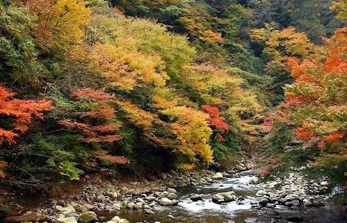 箱根紅葉21 箱根 秋の風物詩 紅葉を愉しむ 紅葉おすすめ人気スポット13選 一休 Comレストラン 箱根紅葉21 箱根 秋の風物詩 紅葉を愉しむ 紅葉おすすめ人気スポット13選 一休 Comレストラン