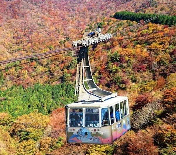 駒ヶ岳ロープウェイ 神奈川 箱根 人気紅葉スポット 一休 Comレストラン 駒ヶ岳ロープウェイ 神奈川 箱根 人気紅葉スポット 一休 Comレストラン